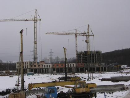 IMG_1230.JPG