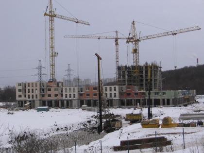IMG_1243.JPG