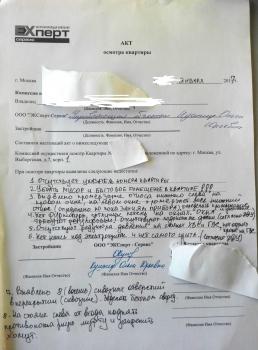 IMG_20170111_153149.jpg