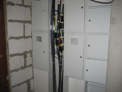 image.jpeg