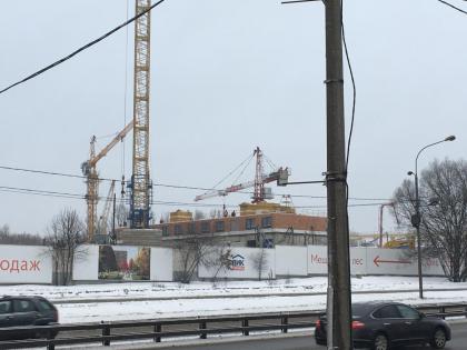 IMG_9882.JPG