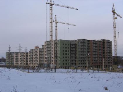 IMG_1253.JPG