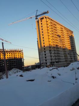 IMG_0009-02-02-17-04-42.jpeg