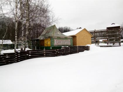 Арсенальное 99211.jpg