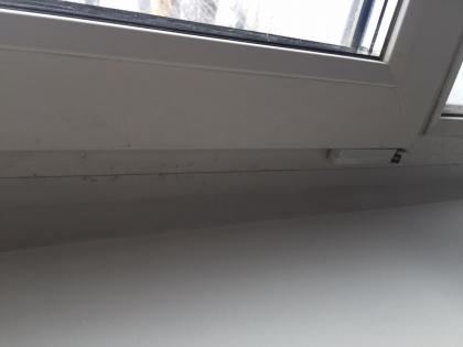 image7.jpeg