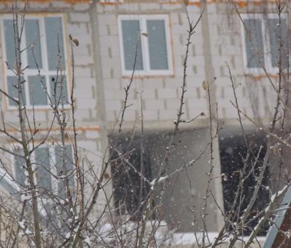DSCN0518.jpg