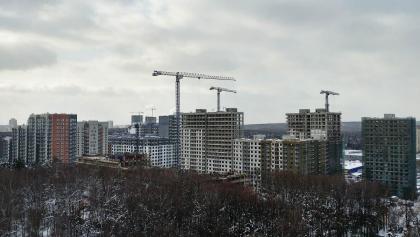 f001.jpg