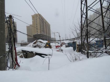 4_копают-min.JPG