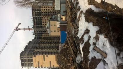 WP_20170318_16_26_12_Pro.jpg