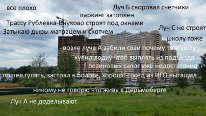 IMG_2231.JPG