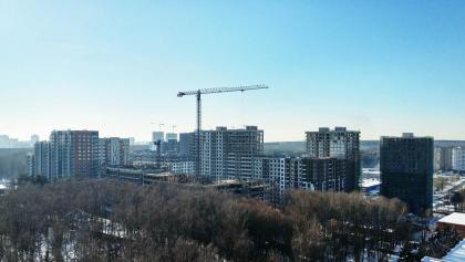 f001.jpg