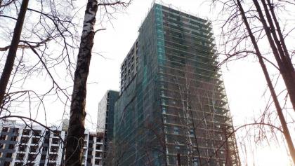 f016.jpg