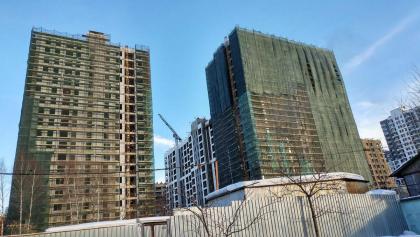 f013.jpg