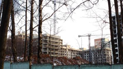 f015.jpg