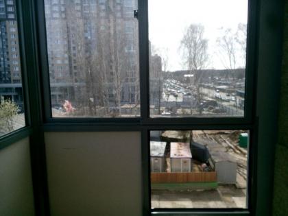 image.jpeg
