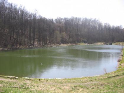 IMG_1397.JPG