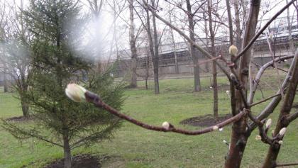 IMG_0050.JPG 4.JPG