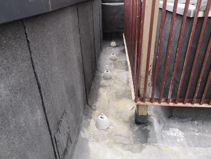 IMG-20190423-WA0097.jpg