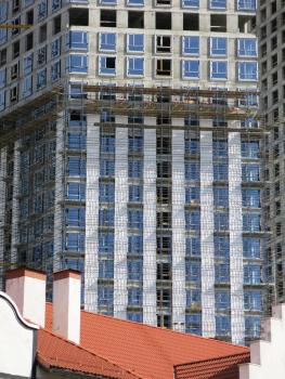 IMG_0558a.jpg