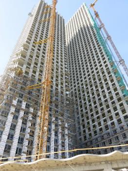 IMG_0568a.jpg