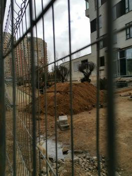 IMG_20210404_133617.jpg
