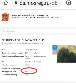 Сроки сдачи.jpg