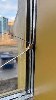 IMG_4899.jpeg