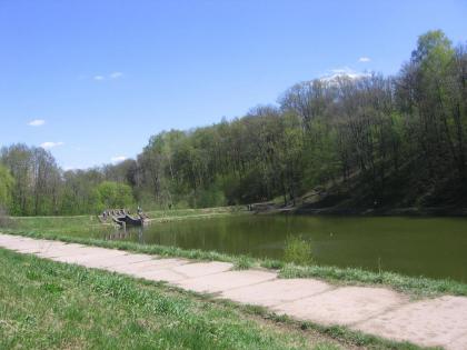 IMG_1412.JPG