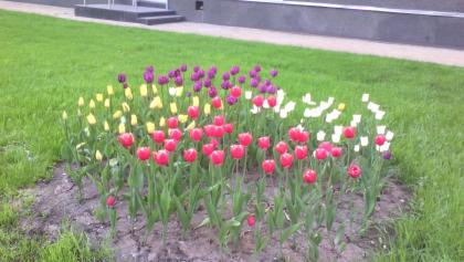 IMG_20170518_175423.jpg
