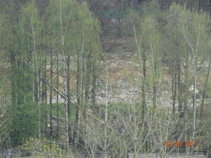 DSC07441-2592x1944.JPG