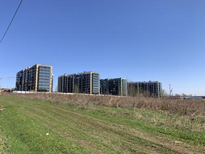 IMG_4929.JPG
