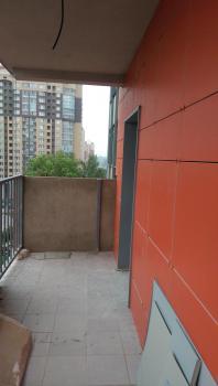 IMAG0348.jpg