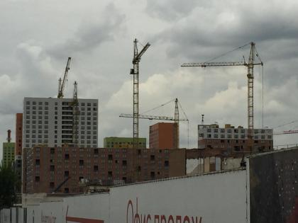 IMG_0359.jpg