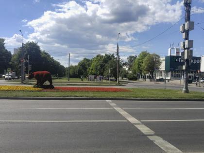 20180627_144244.jpg