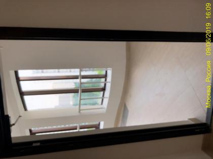 20190609_130920295_iOS.jpg