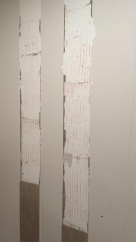 IMG_20240601_185608.jpg