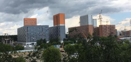 IMG_1382.JPG