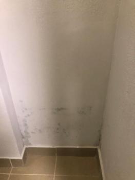 AC2FED13-0028-4477-B58A-DAE0A6AB86AE.jpeg