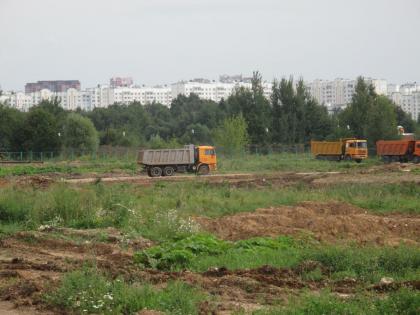 IMG_4429.jpg