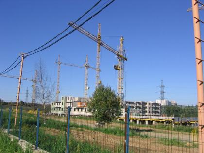 IMG_1022.JPG