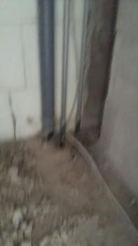 IMG-20170808-WA0007.jpg