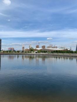 IMG_20200809_231516_726.jpg