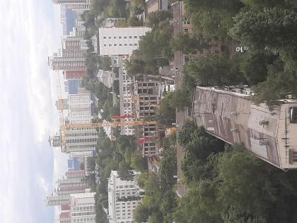 20200814_155657.jpg