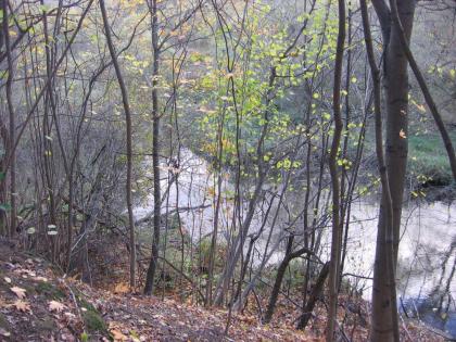 IMG_1149.JPG