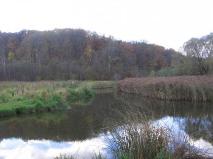 IMG_1154.JPG