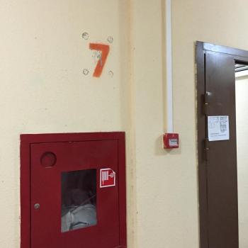 post-27898-0-48601300-1507475716.jpeg
