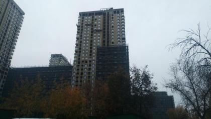 IMG_20201009_171447.jpg