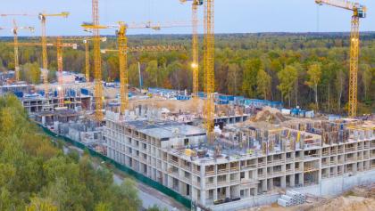 77_skazochnyles_0920_012.jpg