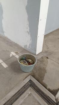IMG_20231024_185330.jpg