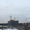 IMG_8585.JPG